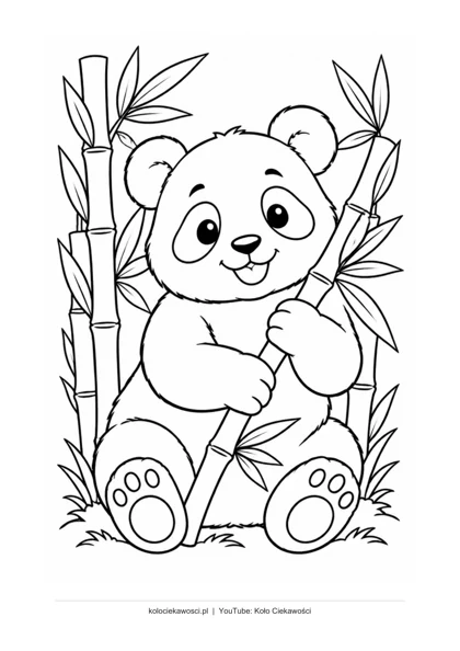 Panda z bambusem — kolorowanka do druku PDF A4