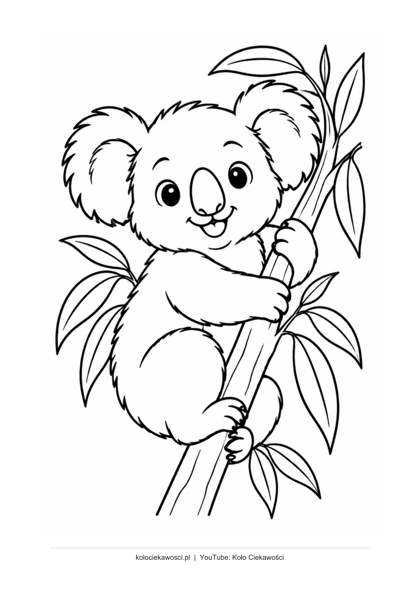 Koala na gałęzi — kolorowanka do druku PDF A4