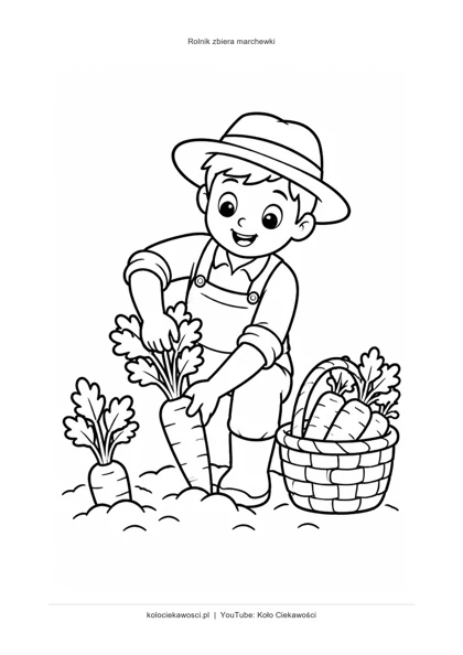 Rolnik zbiera marchewki — kolorowanka do druku PDF A4