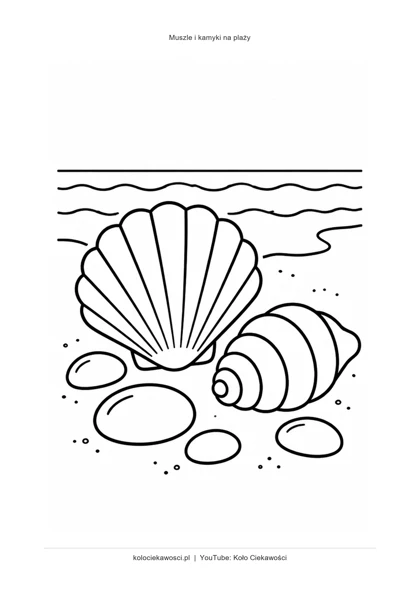 Muszle i kamyki na plaży — kolorowanka do druku PDF A4