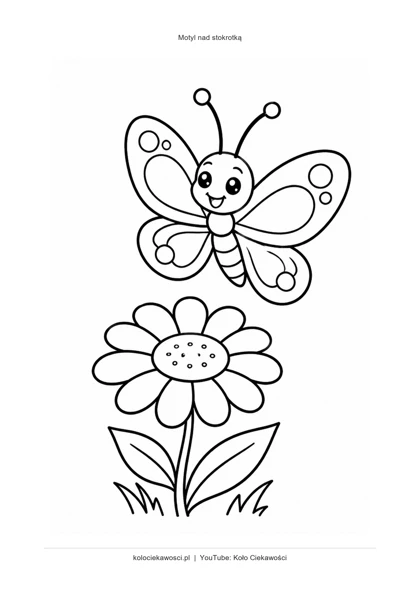 Motyl nad stokrotką — kolorowanka do druku PDF A4