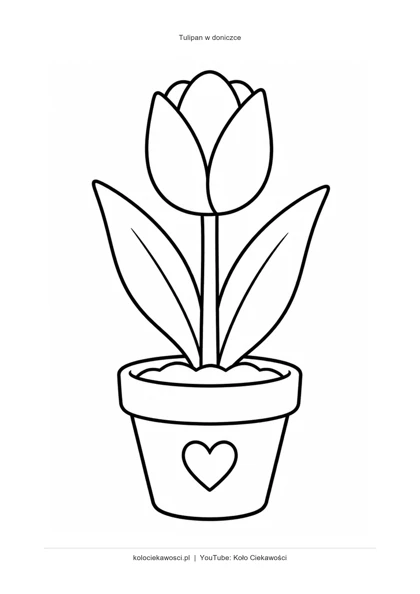 Tulipan w doniczce — kolorowanka do druku PDF A4